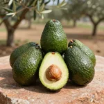 Fuerte Avokado Demeti